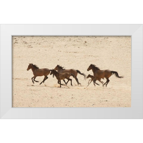 Namibia, Aus Group of running wild horses White Modern Wood Framed Art Print by Kaveney, Wendy