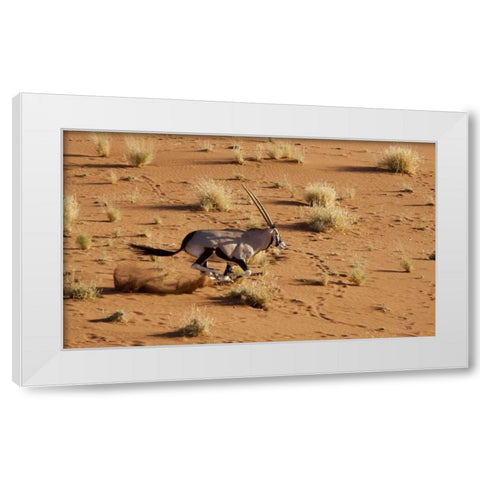 Namibia, Sossusvlei Aerial of running oryx White Modern Wood Framed Art Print by Kaveney, Wendy