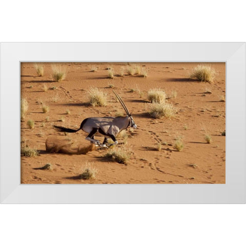 Namibia, Sossusvlei Aerial of running oryx White Modern Wood Framed Art Print by Kaveney, Wendy