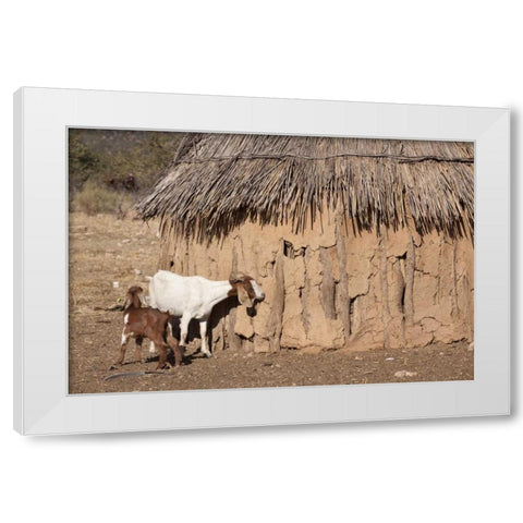 Namibia, Opuwo A pair of goats and Himba mud hut White Modern Wood Framed Art Print by Kaveney, Wendy