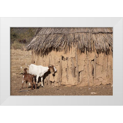 Namibia, Opuwo A pair of goats and Himba mud hut White Modern Wood Framed Art Print by Kaveney, Wendy
