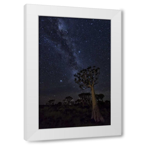 Namibia Milky Way and quiver trees at night White Modern Wood Framed Art Print by Kaveney, Wendy