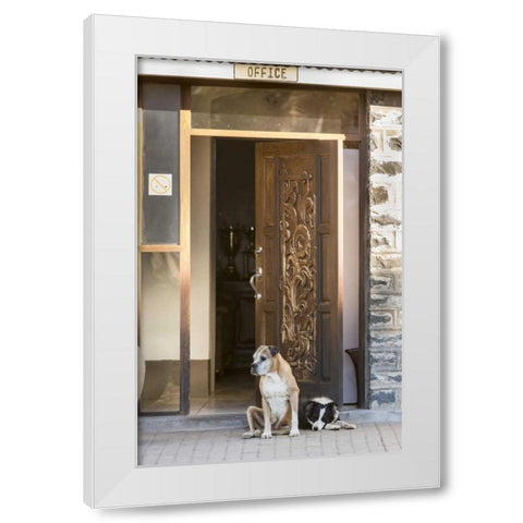 Africa, Namibia Dogs at door entrance White Modern Wood Framed Art Print by Kaveney, Wendy