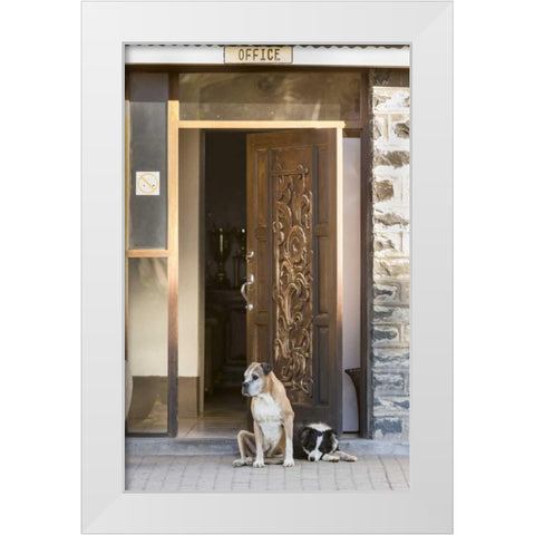 Africa, Namibia Dogs at door entrance White Modern Wood Framed Art Print by Kaveney, Wendy