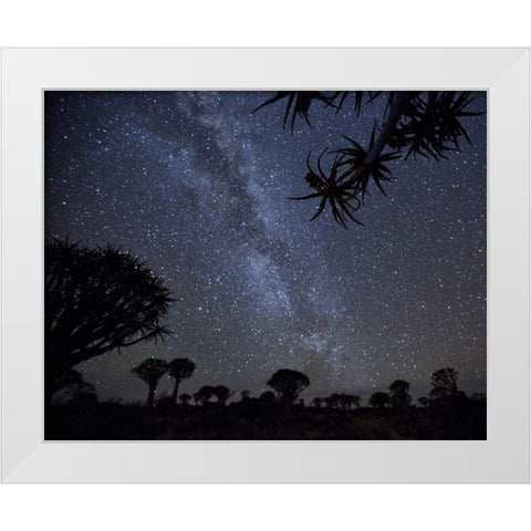 Namibia Milky Way and quiver trees at night White Modern Wood Framed Art Print by Kaveney, Wendy