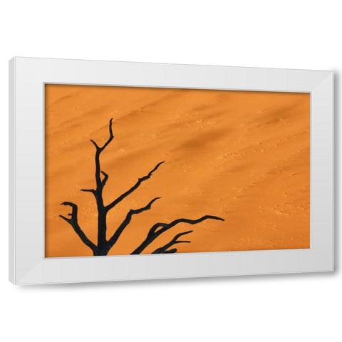 Namibia, Dead Vlei Tree branches and sand dune White Modern Wood Framed Art Print by Kaveney, Wendy