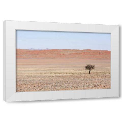 Namibia, Namib Desert Lone tree in orange desert White Modern Wood Framed Art Print by Kaveney, Wendy