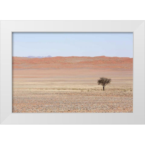 Namibia, Namib Desert Lone tree in orange desert White Modern Wood Framed Art Print by Kaveney, Wendy
