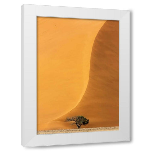 Namibia, Namib-Naukluft Park Sand dune and tree White Modern Wood Framed Art Print by Kaveney, Wendy