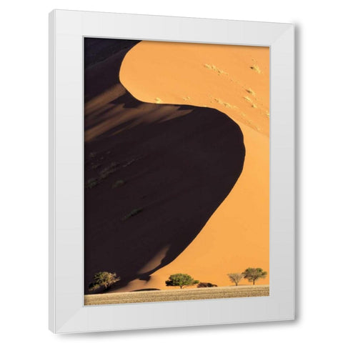 Namibia, Namib-Naukluft Park Sand dune and trees White Modern Wood Framed Art Print by Kaveney, Wendy