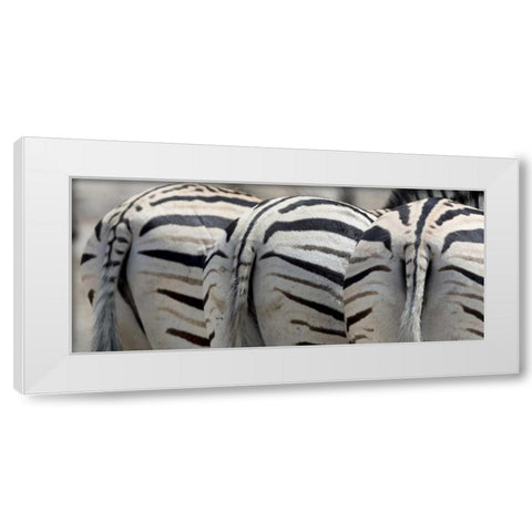 Namibia, Etosha NP, Reitfontain Zebra tails White Modern Wood Framed Art Print by Kaveney, Wendy