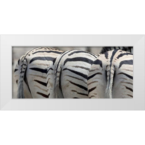 Namibia, Etosha NP, Reitfontain Zebra tails White Modern Wood Framed Art Print by Kaveney, Wendy