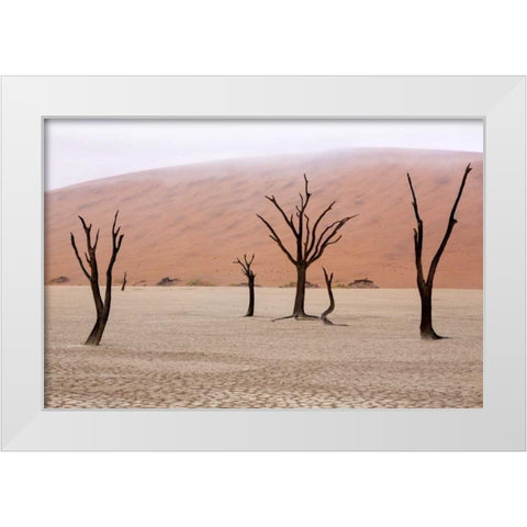 Namibia, Namib-Naukluft, Deadvlei Misty Morning White Modern Wood Framed Art Print by Kaveney, Wendy