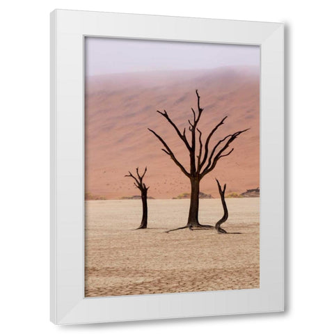 Namibia, Namib-Naukluft, Deadvlei Misty Morning White Modern Wood Framed Art Print by Kaveney, Wendy