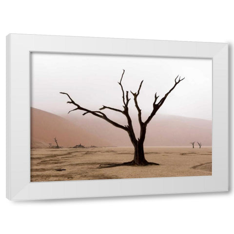 Namibia, Namib-Naukluft, Deadvlei Misty Morning White Modern Wood Framed Art Print by Kaveney, Wendy