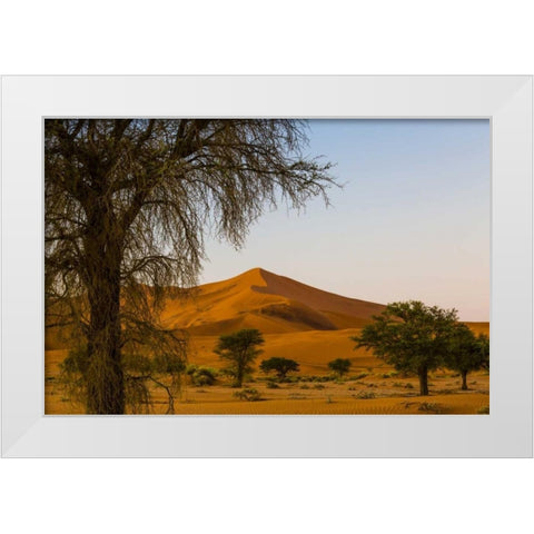 Namibia, Namib-Naukluft NP Trees and sand dune White Modern Wood Framed Art Print by Young, Bill