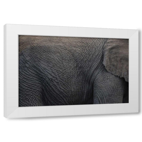 Namibia, Etosha NP Textured hide of elephant White Modern Wood Framed Art Print by Young, Bill