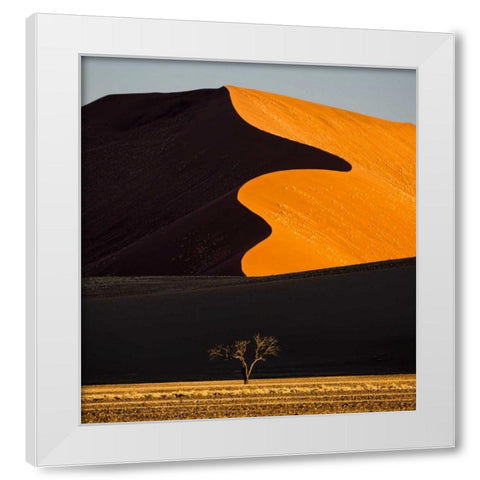 Namibia, Namib-Naukluft NP Abstract of sand dune White Modern Wood Framed Art Print by Young, Bill