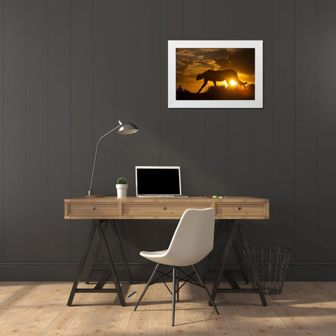 Namibia Cheetah silhouette at sunset White Modern Wood Framed Art Print by Jaynes Gallery