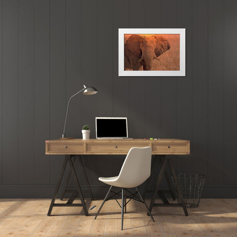 Africa-Namibia-Montage of elephant at sunrise White Modern Wood Framed Art Print by Jaynes Gallery