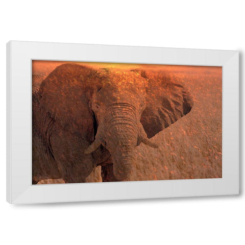 Africa-Namibia-Montage of elephant at sunrise White Modern Wood Framed Art Print by Jaynes Gallery