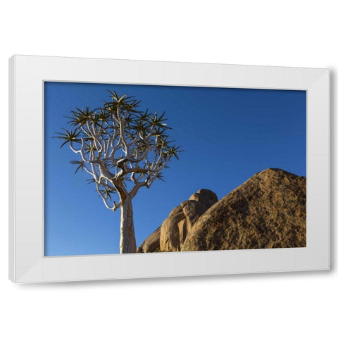 South Richtersveld NP Quiver tree and boulder White Modern Wood Framed Art Print by Young, Bill