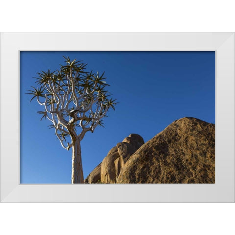 South Richtersveld NP Quiver tree and boulder White Modern Wood Framed Art Print by Young, Bill