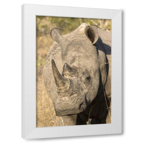 Hawaii Waves breaking on a black sand beach White Modern Wood Framed Art Print by Zuckerman, Jim