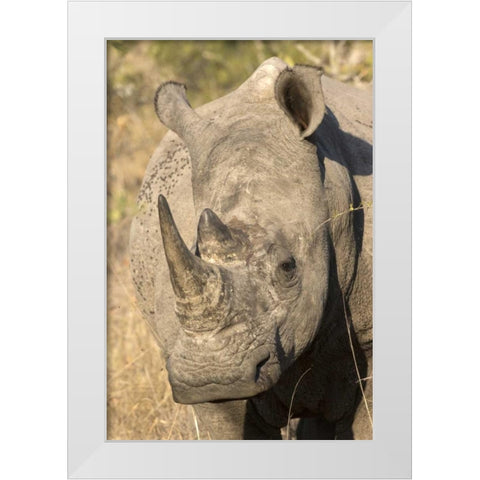 Hawaii Waves breaking on a black sand beach White Modern Wood Framed Art Print by Zuckerman, Jim