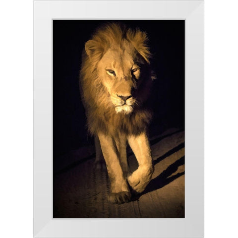 South Africa-Sabi Sabi Private Reserve Abstract of male lion walking White Modern Wood Framed Art Print by Jaynes Gallery