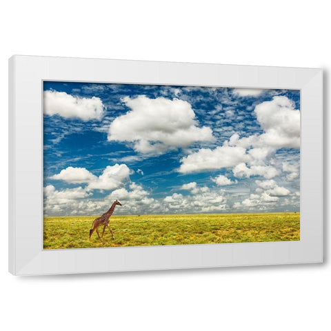 Masai Giraffe on open plains of Serengeti National Park-Tanzania-Africa-Giraffa White Modern Wood Framed Art Print by Jones, Adam