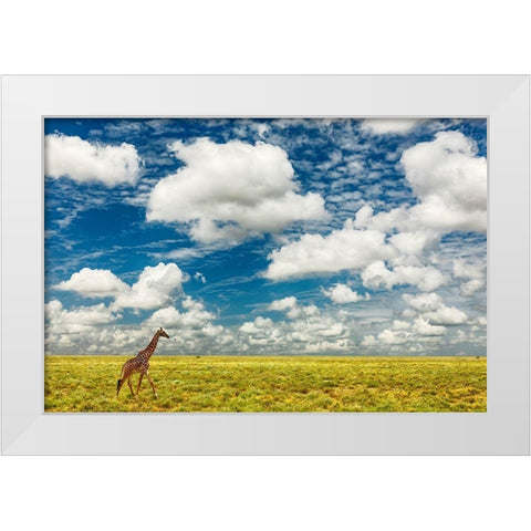 Masai Giraffe on open plains of Serengeti National Park-Tanzania-Africa-Giraffa White Modern Wood Framed Art Print by Jones, Adam
