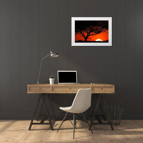 Tree silhouetted at sunset on the vast plains of Serengeti National Park-Tanzania-Africa White Modern Wood Framed Art Print by Jones, Adam