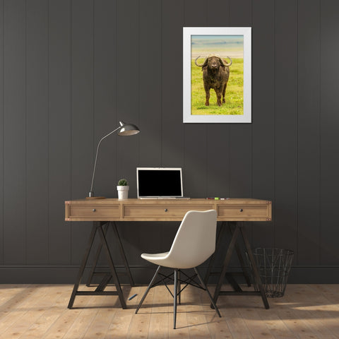 Africa-Tanzania-Ngorongoro Crater Cape buffalo close-up  White Modern Wood Framed Art Print by Jaynes Gallery