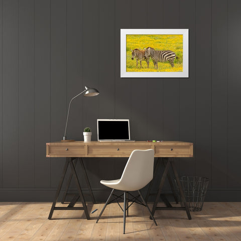 Africa-Tanzania-Ngorongoro Crater Plains zebra adult and young in flower field  White Modern Wood Framed Art Print by Jaynes Gallery