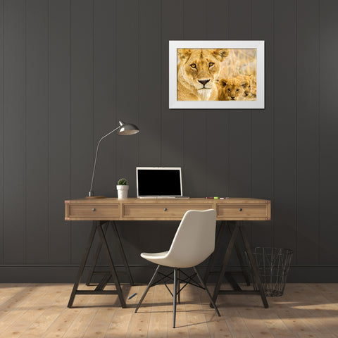 Africa-Tanzania-Serengeti National Park African lioness and cubs  White Modern Wood Framed Art Print by Jaynes Gallery