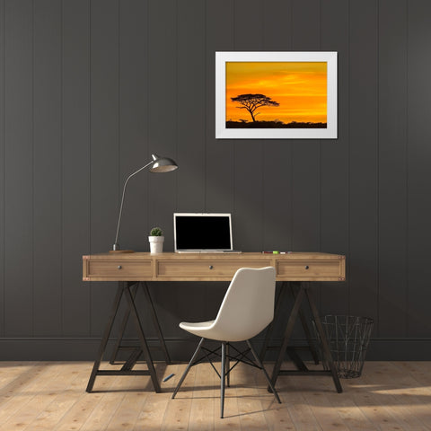 Africa-Tanzania-Serengeti National Park Acacia tree silhouette at sunset  White Modern Wood Framed Art Print by Jaynes Gallery