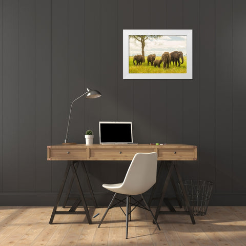 Africa-Tanzania-Tarangire National Park African elephant adults and young  White Modern Wood Framed Art Print by Jaynes Gallery