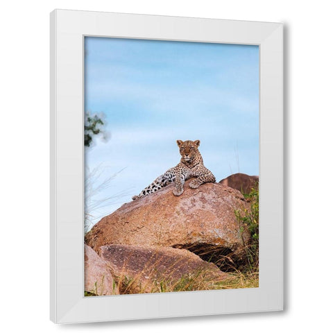 Africa-Tanzania-Serengeti National Park Leopard resting on boulder  White Modern Wood Framed Art Print by Jaynes Gallery