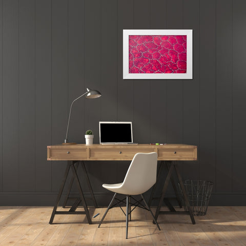 Africa-Tanzania-Aerial view of patterns of red algae and salt formations in shallow salt waters White Modern Wood Framed Art Print by Souders, Paul