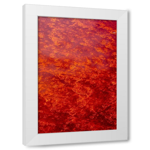 Africa-Tanzania-Aerial view of patterns of red algae and salt formations in shallow salt waters White Modern Wood Framed Art Print by Souders, Paul