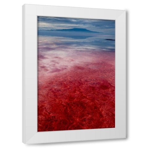 Africa-Tanzania-Enhanced contrast aerial view of patterns of red algae and salt formations  White Modern Wood Framed Art Print by Souders, Paul
