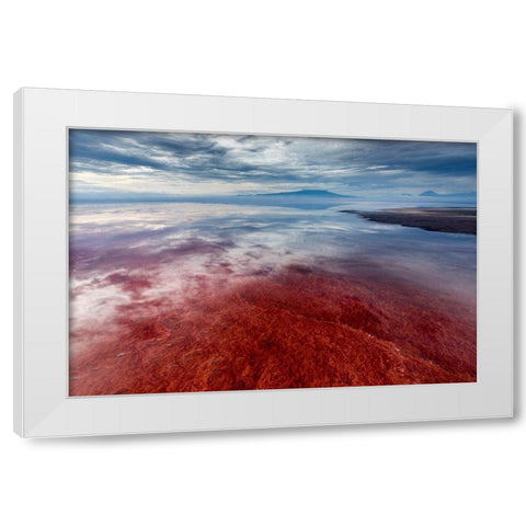 Africa-Tanzania-Enhanced contrast aerial view of patterns of red algae and salt formations White Modern Wood Framed Art Print by Souders, Paul