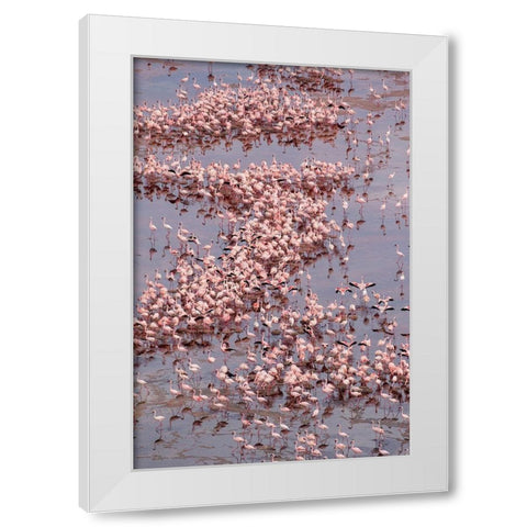Africa-Tanzania-Aerial view of vast flock of Lesser Flamingos nesting in shallow salt waters White Modern Wood Framed Art Print by Souders, Paul
