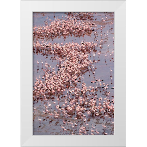 Africa-Tanzania-Aerial view of vast flock of Lesser Flamingos nesting in shallow salt waters White Modern Wood Framed Art Print by Souders, Paul