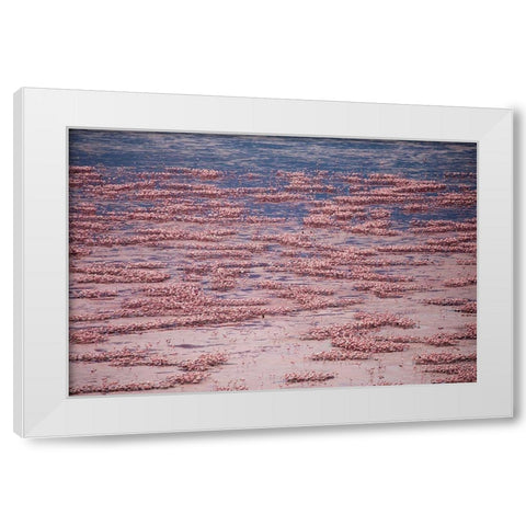 Africa-Tanzania-Aerial view of vast flock of Lesser Flamingos nesting in shallow salt waters White Modern Wood Framed Art Print by Souders, Paul