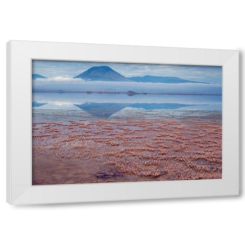 Africa-Tanzania-Aerial view of Ol Doinyo Lengai volcano looming above vast flock White Modern Wood Framed Art Print by Souders, Paul