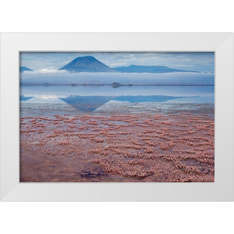 Africa-Tanzania-Aerial view of Ol Doinyo Lengai volcano looming above vast flock White Modern Wood Framed Art Print by Souders, Paul