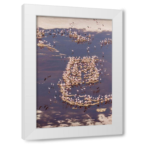 Africa-Tanzania-Aerial view of flock of Lesser Flamingos nesting among salt flats White Modern Wood Framed Art Print by Souders, Paul