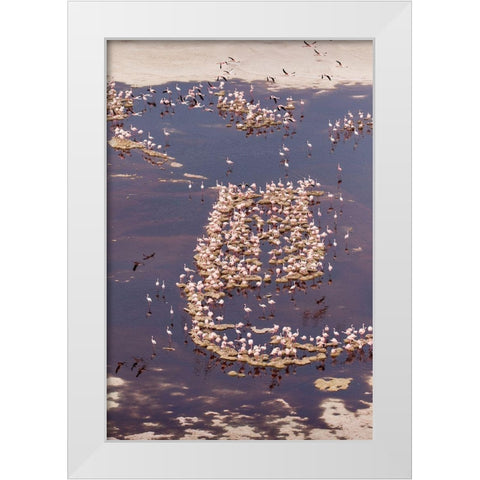 Africa-Tanzania-Aerial view of flock of Lesser Flamingos nesting among salt flats White Modern Wood Framed Art Print by Souders, Paul